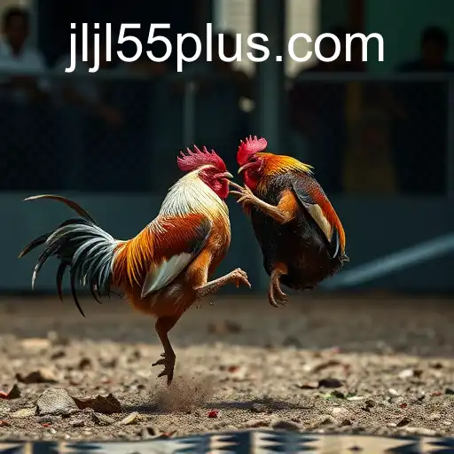 Exploring the World of Online Sabong: A Deep Dive into jljl55